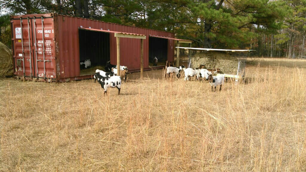 Shipping Containers On A Farm
