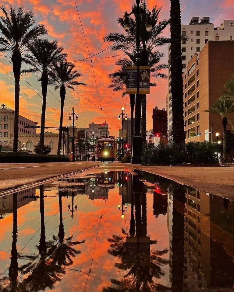 New orleans louisiana blog | shipping containers for sale Ne Orleans Louisiana Blog